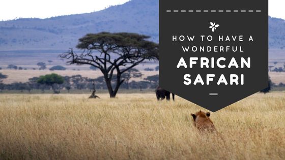 The Best of All Trips: How to Have a Wonderful African Safari